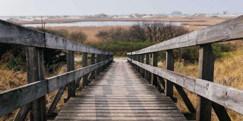 《42号传奇》：当数字成为打破种族壁垒的惊雷