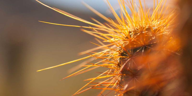 从《末路狂花》到《燃烧女子的肖像》：电影社区热议的凝视反转与女性主义实践