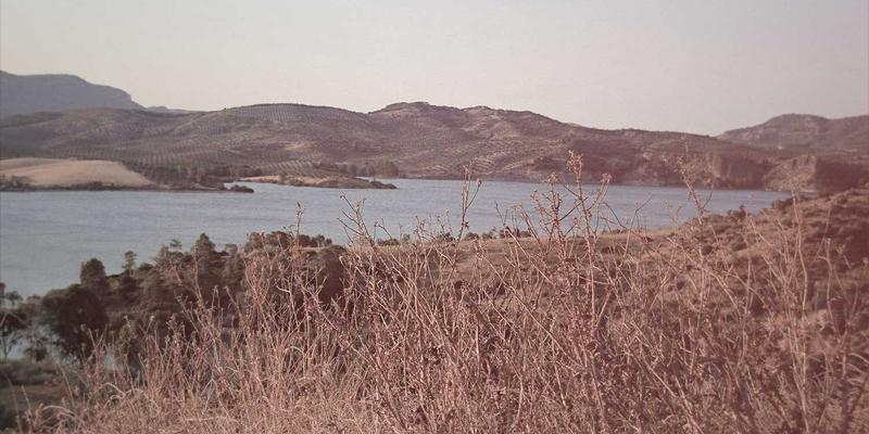 从《杀人回忆》到《寄生虫》：韩国犯罪电影如何用票房神话引爆电影社区的社会反思