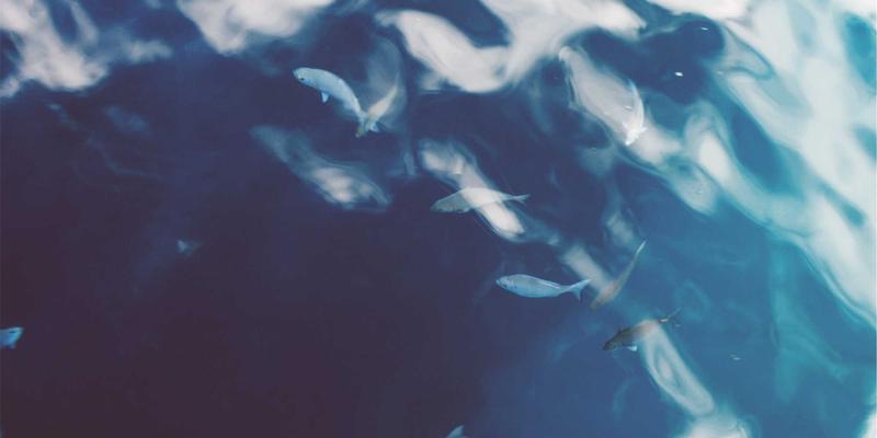 光影盛宴：2024年电影资讯盘点与深度推荐指南