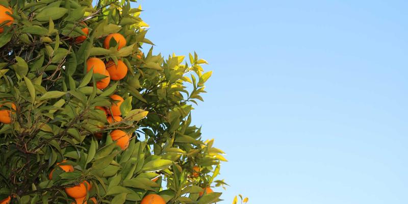 影评深度解析：电影配乐如何塑造情感——从《星际穿越》到《沙丘》的听觉叙事艺术