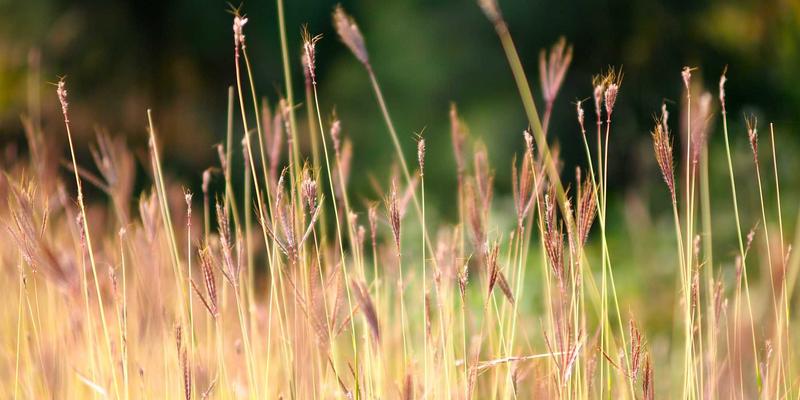 漫威电影宇宙的工业化生产模式：对电影艺术性与作者性的双重挑战 | 电影资讯与深度解析