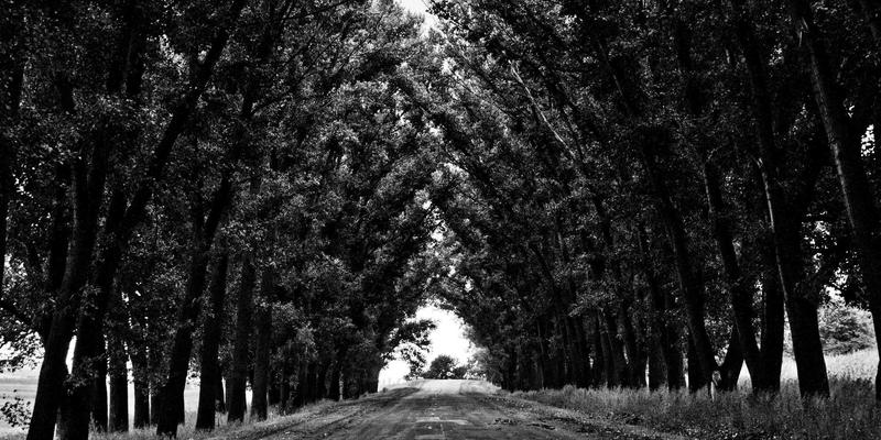 电影15：2025年必看佳作盘点与票房黑马深度解析