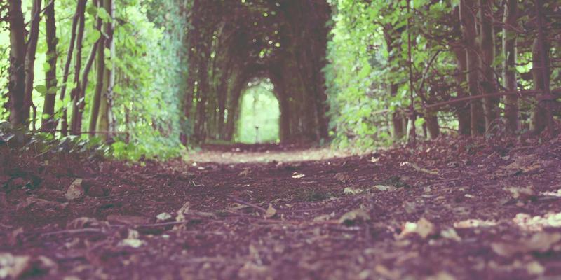 《电影58》：马尚电影如何在小众社区掀起影评热潮