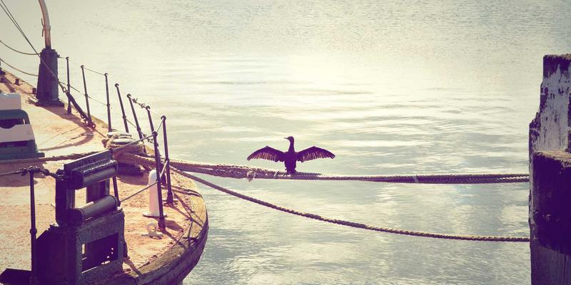 《电影59》：在光影迷宫中寻找共鸣，马尚电影与社区如何重塑观影体验