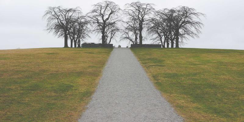 《电影63》：一场关于时间、记忆与集体幻觉的银幕谜题