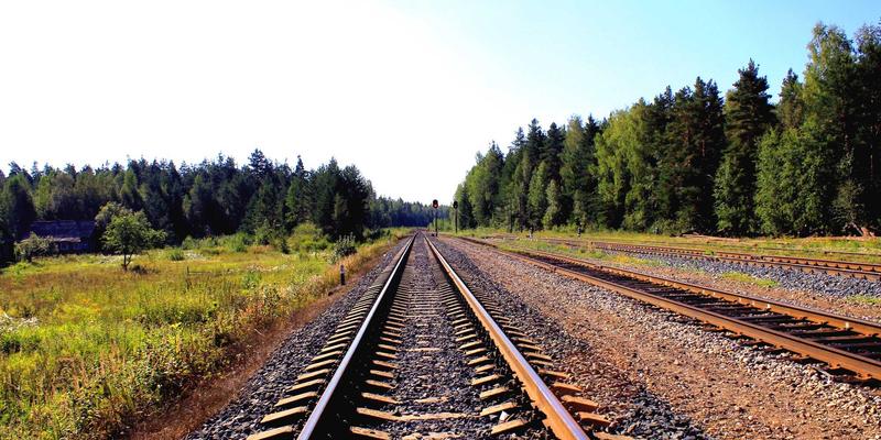 《电影64》：马尚导演的视觉诗篇与人性迷宫 | 深度解析与推荐