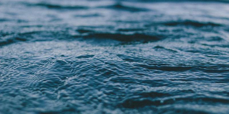 《电影66》:票房黑马如何引爆电影社区与影评热潮