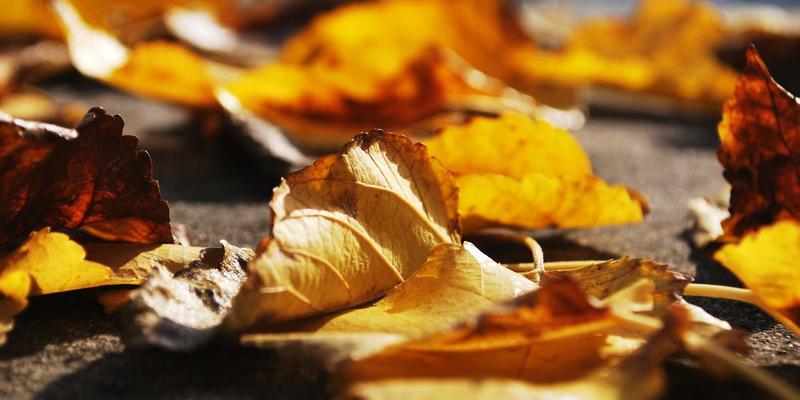 《电影74》深度解析：马尚电影宇宙的新篇章与行业启示