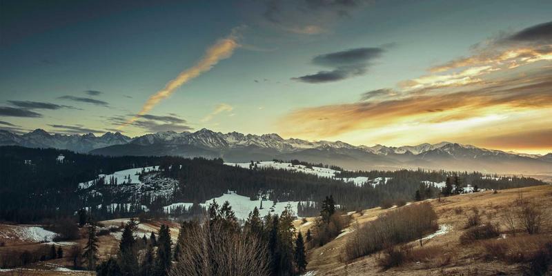 《电影77》：马尚导演的票房黑马与争议漩涡