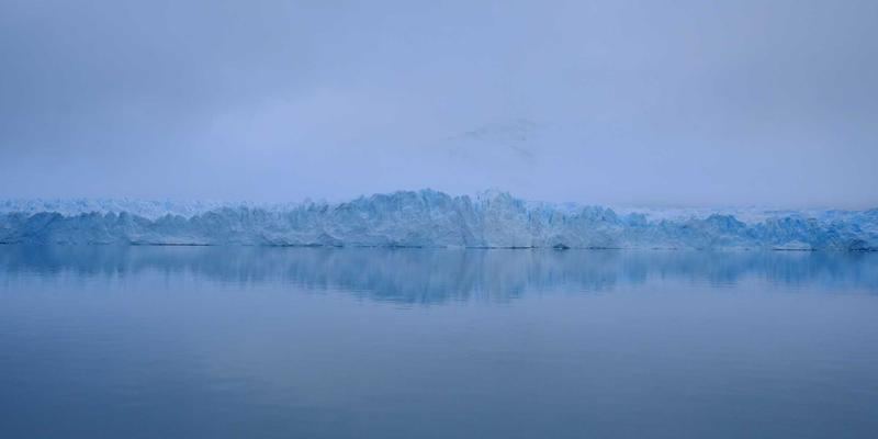 电影81：连接影迷与产业的数字社区，如何重塑票房生态？