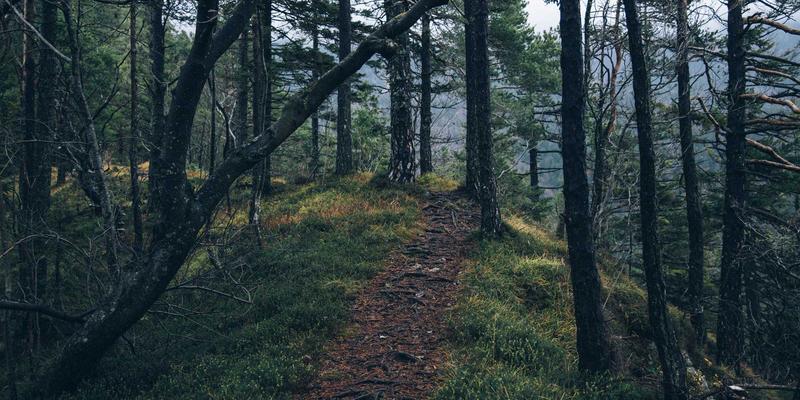 电影推荐与影评：非线性剪辑如何重塑电影社区的时间叙事体验
