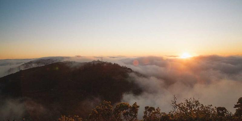 电影是什么：从光影艺术到票房奇迹的社区共鸣