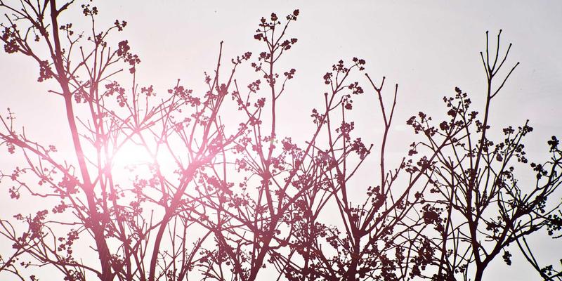 票房密码：当巴黎、东京、纽约成为电影主角，这些电影推荐不容错过