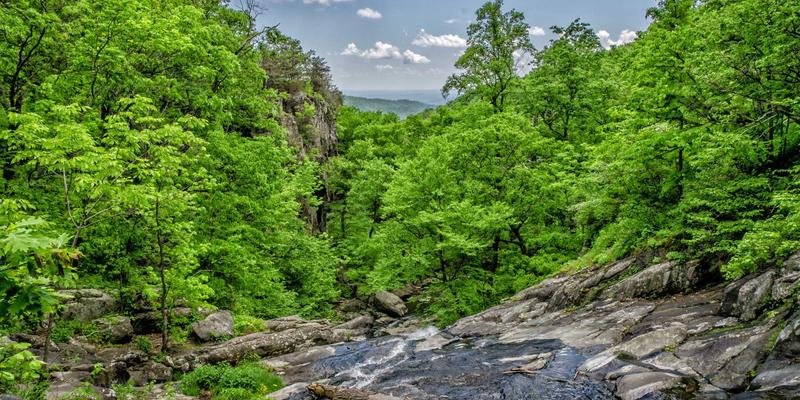 票房背后的灵魂建筑师：汉斯·季默与坂本龙一如何用音符点亮电影社区