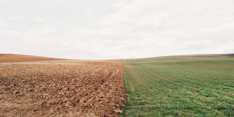马尚电影票房奇迹背后的情感引擎：电影社区热议的配乐叙事密码