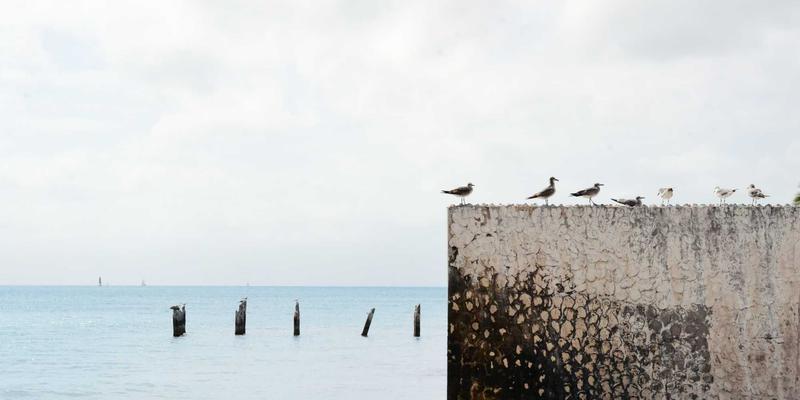 马尚电影票房神话背后的最佳实践：从创意到市场的成功法则